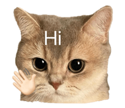 840334574