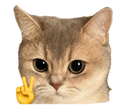 840334576