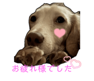840335725