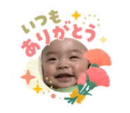 840336044