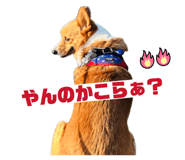 840336170