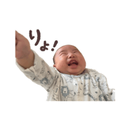 840336626