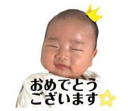 840336646