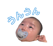840336648