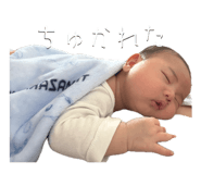 840336654