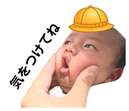 840336658