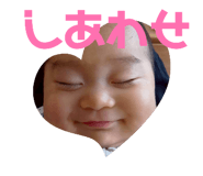 840336666