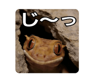 840339439
