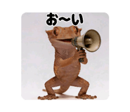 840339440