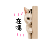 840340054