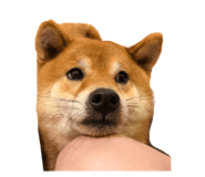 840340069