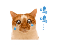 840340802