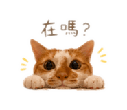 840340812