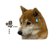 840341239