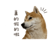 840341240