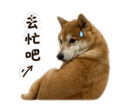 840341243