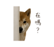 840341245