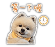 840341331