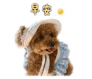 840343051