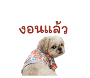 840343319