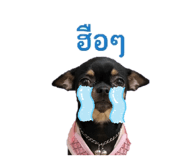 840343327