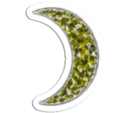 840343547
