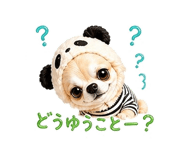 840343607