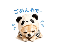 840343608
