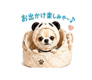 840343613