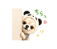 840343670