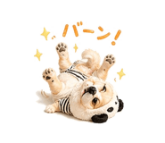 840343674