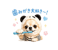 840343675