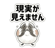 840344707