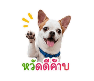 840344753