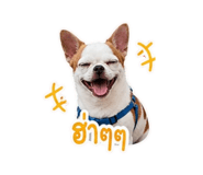 840344755