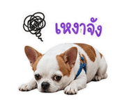 840344758