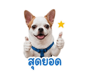 840344768