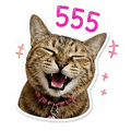 840345914