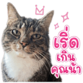 840346148