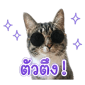 840346153
