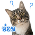 840346160