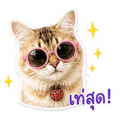 840346384