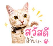 840347081