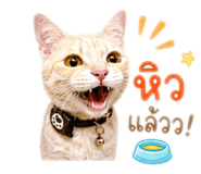 840347082
