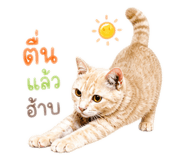 840347085