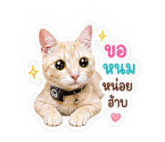 840347087