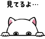 840348652