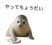 840348815