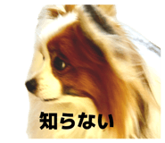 840350081