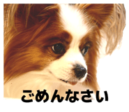 840350085